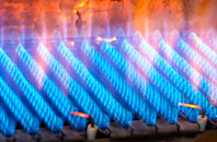 Daniels Water gas fired boilers
